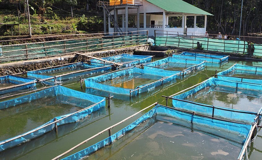 1765446348272821.jpg 06.jpg