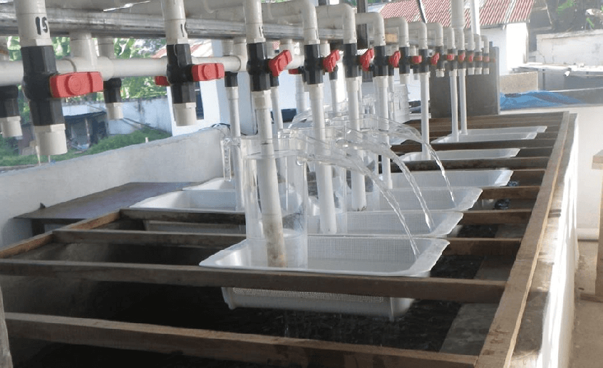 1765446353665173.png 07.png