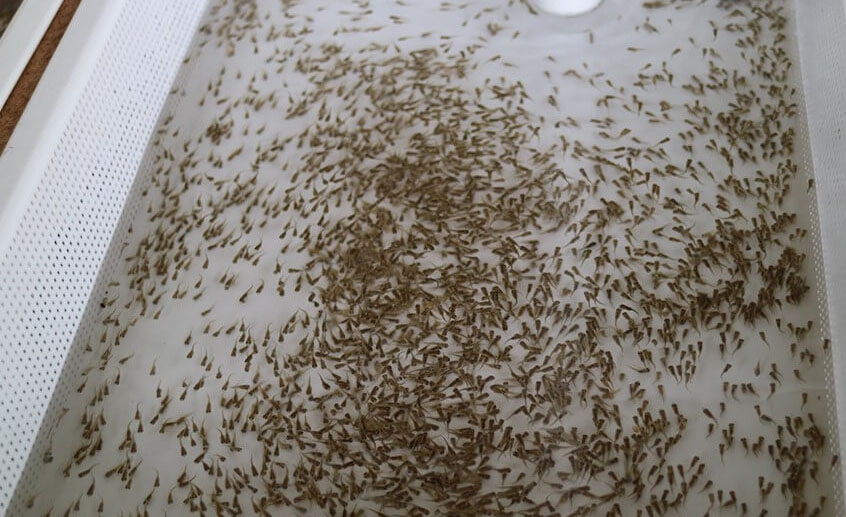 1765446357191591.jpg 08.jpg