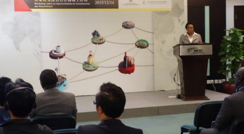 莫桑比克投資合作商機工作坊