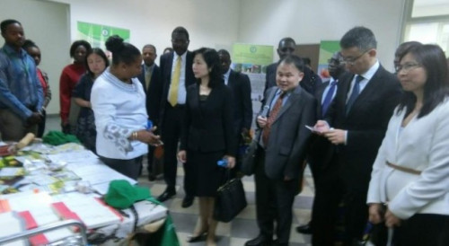 Visit to a local company