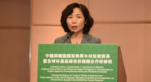 Opening Ceremony of the ‘Tropical Timber Investment and Trade Colloquium between China and Portuguese-speaking Countries and Cooperation on the Global Green Supply Chain for Forest Products’