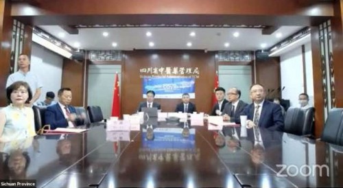 Second series of Webinars on International Cooperation Against Covid-19 held successfully