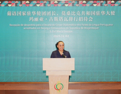 Ambassador Maria Gustava delivering a speech