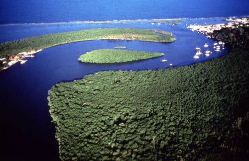 1999 – 大西洋沿岸热带雨林保护区