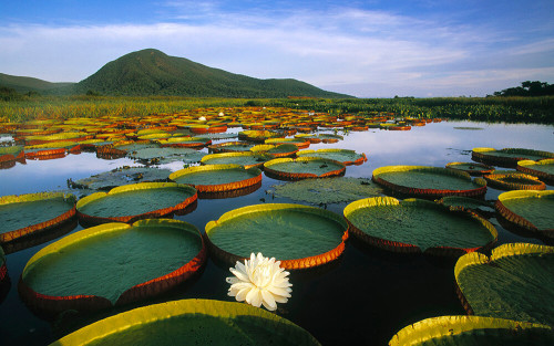 2000 – Complexo de Áreas Protegidas do Pantanal