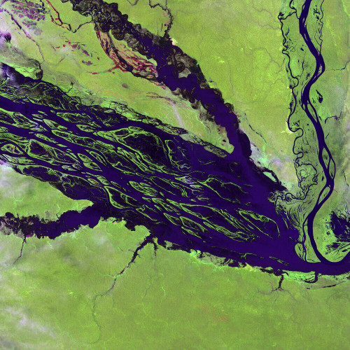 2000, 2003 – Complexo de Conservação da Amazónia Central